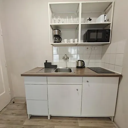 In Zizkov -201- Apartment *